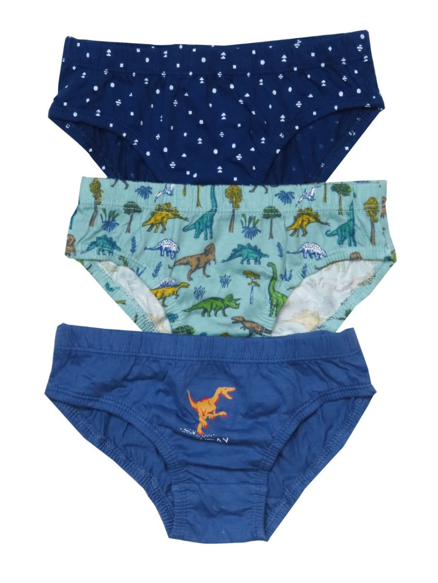 Boys 10 pcs pack Briefs