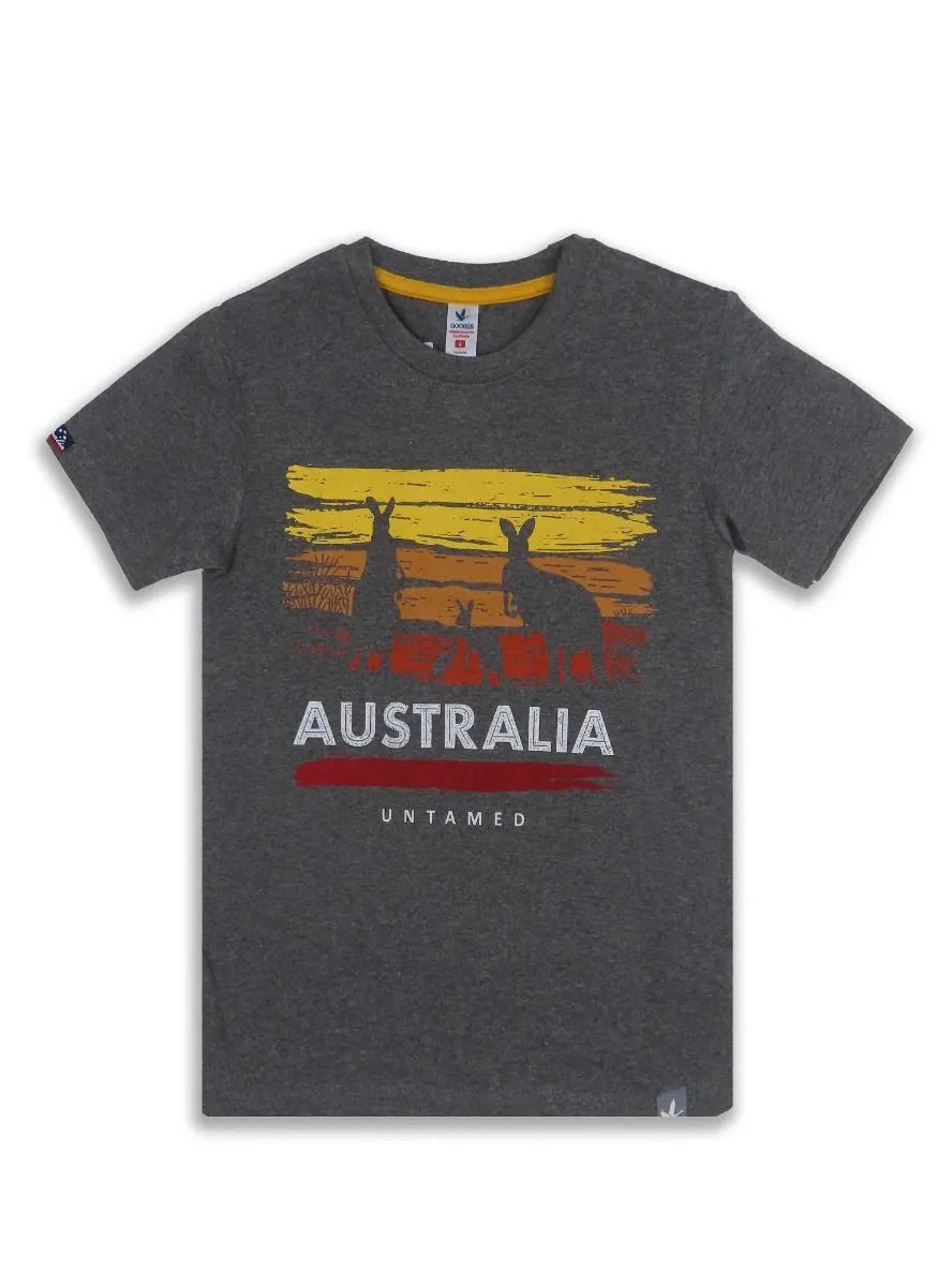 Boys Printed T Shirt