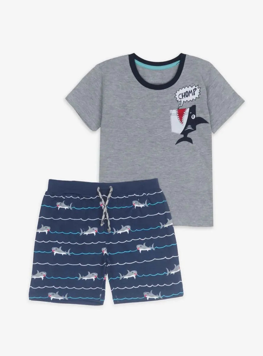 Boys Printed 2 PC Sets Grey